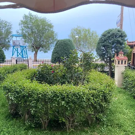 Apartament Vivian's *